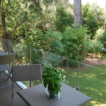 Apartament Avec Piscine - Parc Eugenie